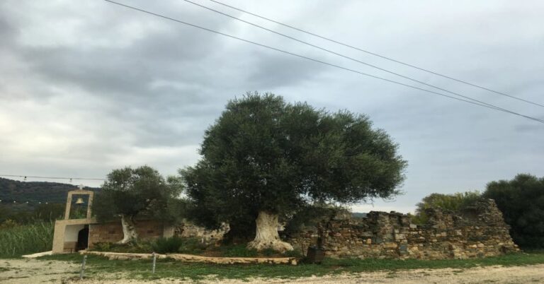 Chania Monasteries: a Private Tour to Greek Orthodoxy