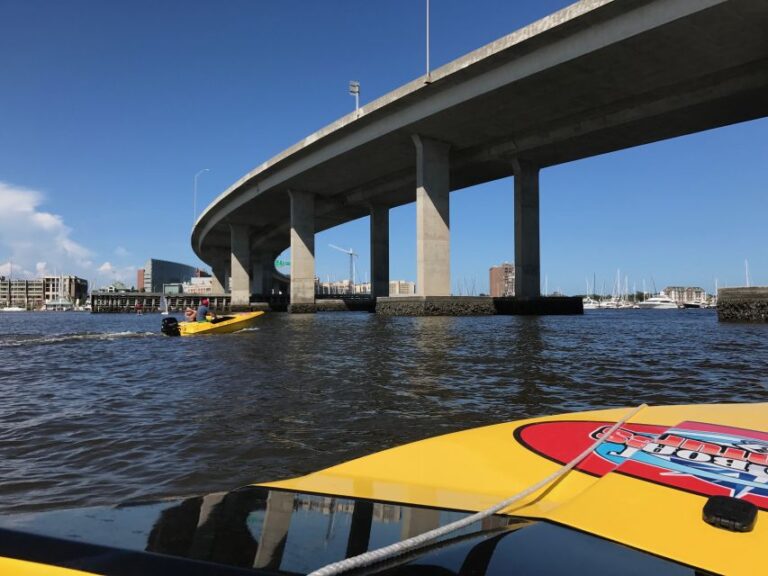 Charleston Harbor 2-Hour Speedboat Adventure