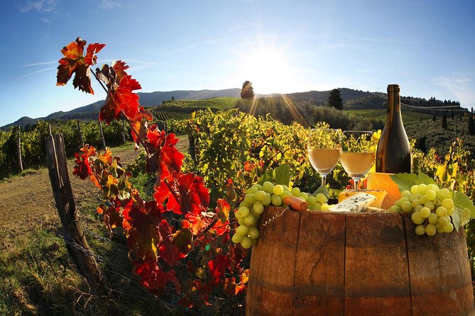 Chianti Half-Day Wine Tour in the Tuscans Hills From Pisa - Tour Pricing and Booking Details