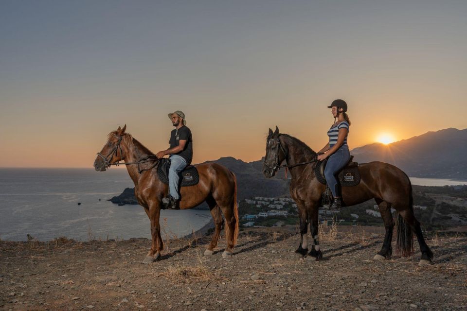 CHR - Crete Horse Riding: East Coastline Ride - Activity Details