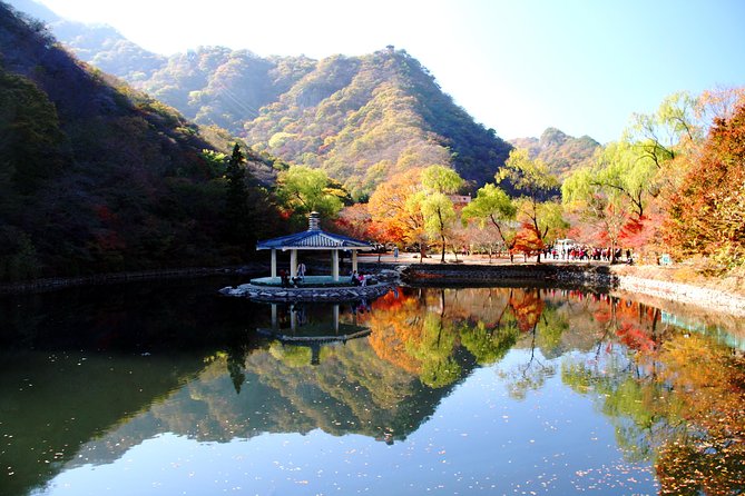 Classic Naejangsan National Park One Day Tour (Autumn Limited） - Tour Overview and Highlights