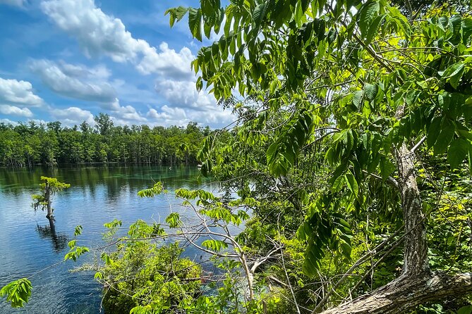 Clear Kayaking Eco Adventure Tour in Marianna