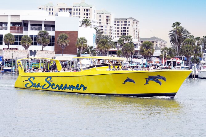 Clearwater Beach Dolphin Speedboat Adventure With Lunch & Transport From Orlando