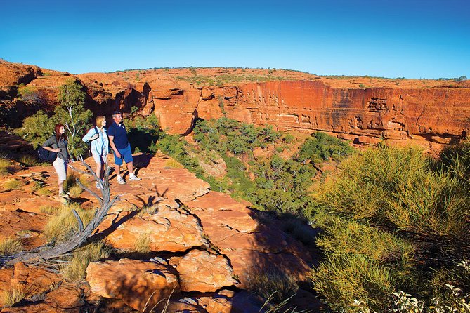 Coach Transfer From Ayers Rock (Uluru) to Kings Canyon