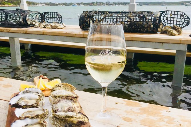 Coffin Bay Oyster Farm & Tasting Tour