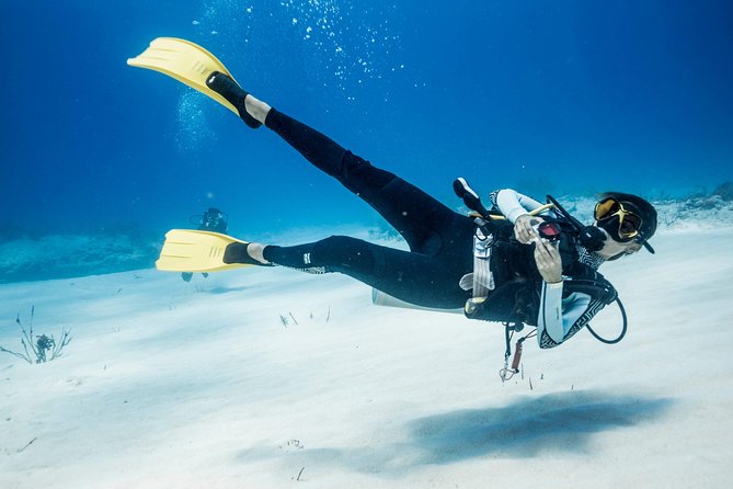 Costa Maya Two-Tank Dive For Certified Divers