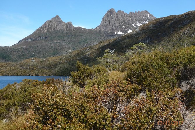 Cradle Mountain Wildlife Spotting After Dark