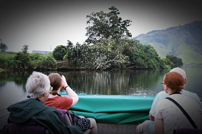 Daintree River Wildlife Cruise - Early Morning - Cruise Overview and Highlights