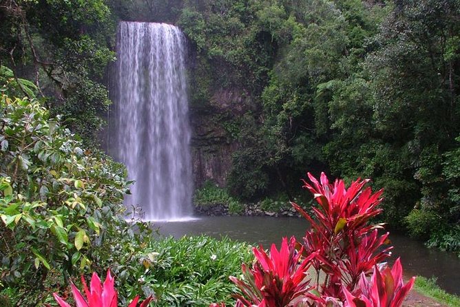 Day Tour to Paronella Park, Lake Barrine and Millaa Millaa Falls