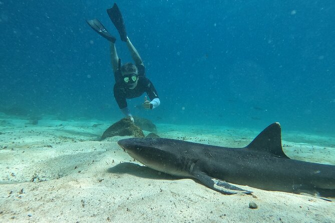 Day Tour to Santa Fe Island and Hidden Beach With Snorkeling and Fishing