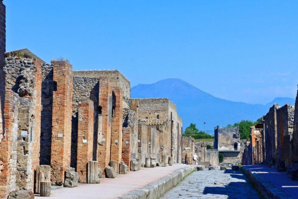Day Trip From Rome to Pompeii - Trip Overview