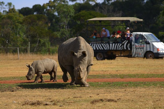 Deluxe Safari Adventure at Werribee Open Range Zoo – Excl. Entry