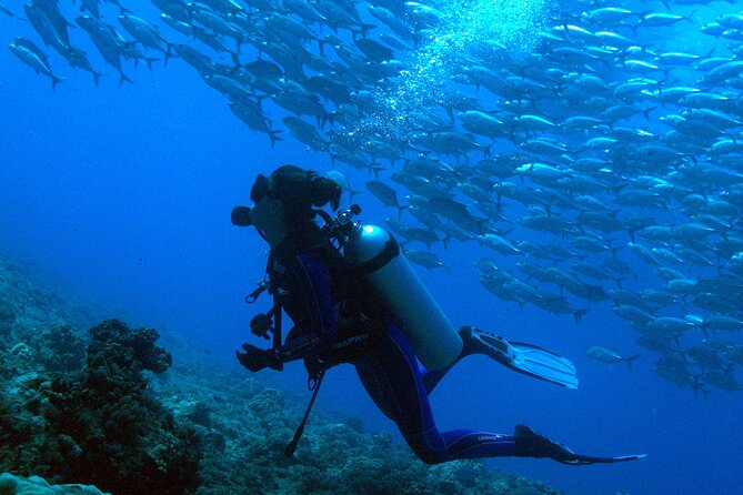 Diving Day - Benefits of Diving