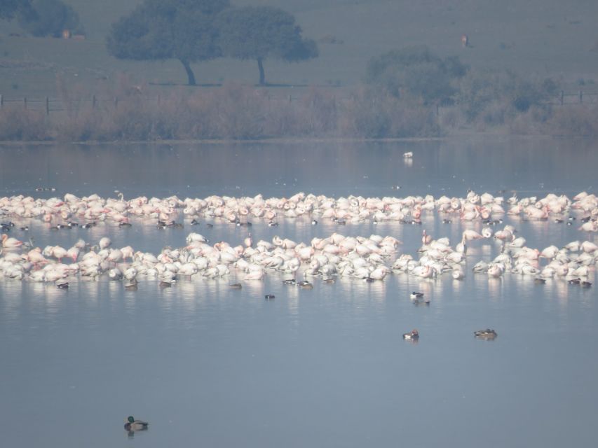 Doñana National Park: 2-Day Tour From Seville - Tour Highlights