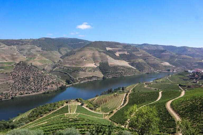 Douro Valley: Douro Valley Tour Including 3 Wineries