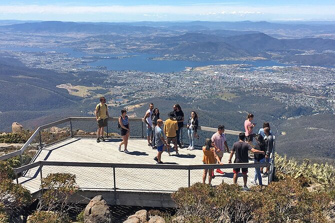 Easy Bike Tour – Mt Wellington Summit Descent & Rainforest Ride