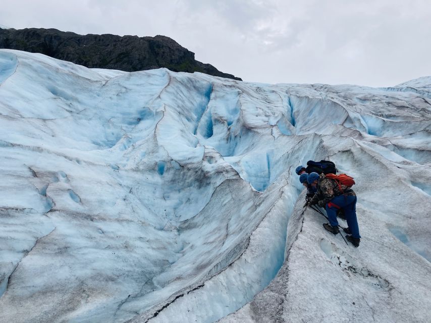 Exit Glacier Ice Hiking Adventure From Seward - Booking Details