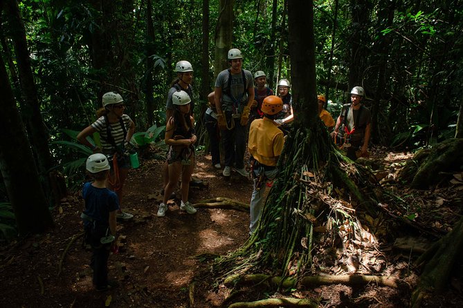 Four-Hour Zip Line Tour Through the Rainforest and Platforms  – Limon