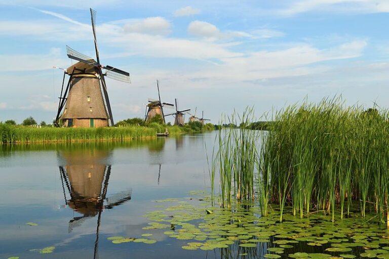 From Amsterdam: Kinderdijk and the Hague Tour With Museums