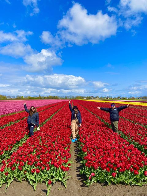 From Amsterdam: Tulip Fields and Windmill Tour With Lunch - Activity Details