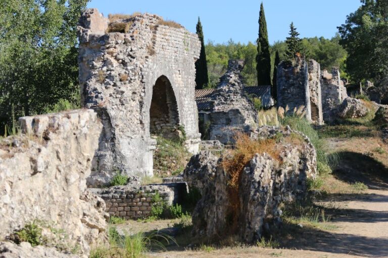 From Arles: Alpilles Regional Park Provence 4×4 Safari