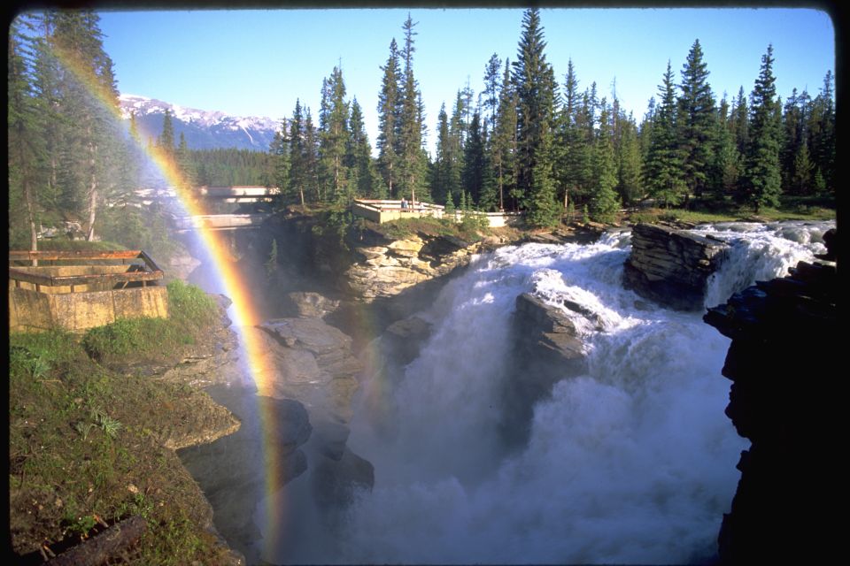 From Banff/Lake Louise: 1-Way Sightseeing Tour to Jasper - Tour Details