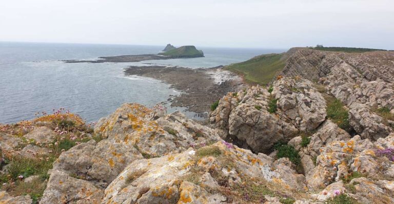 From Cardiff: Mumbles and Gower Peninsular Tour