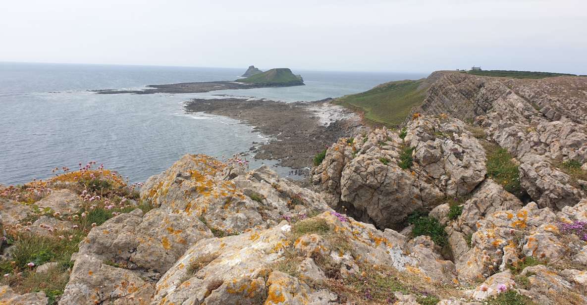 From Cardiff: Mumbles and Gower Peninsular Tour - Tour Details