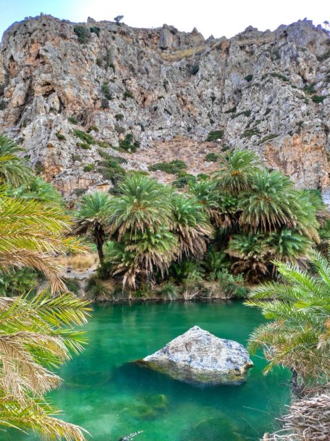 From Chania: Day Trip to Preveli Beach & Damnoni Beach