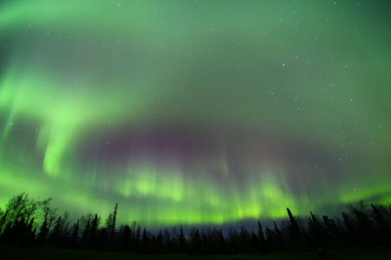 From Fairbanks: Northern Lights & Murphy Dome Tour