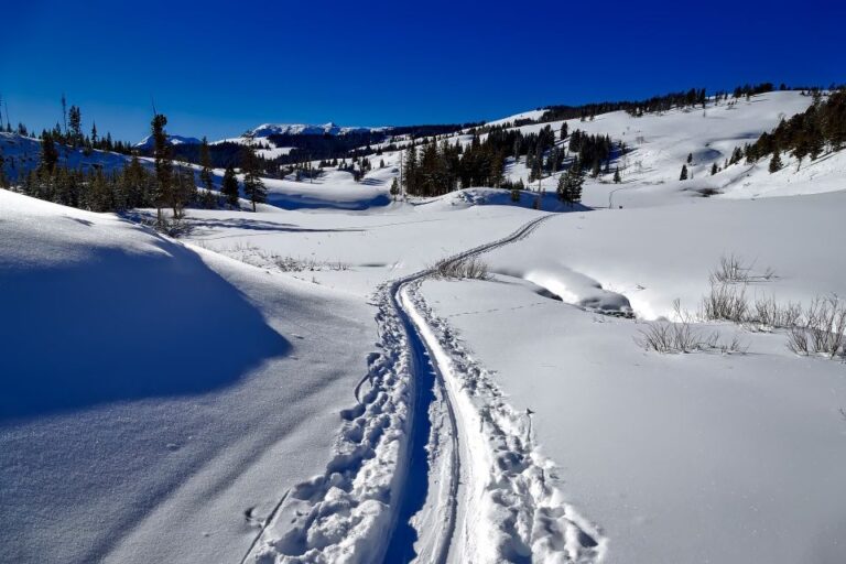 From Gardiner: Guided Yellowstone Cross-Country Skiing Tour