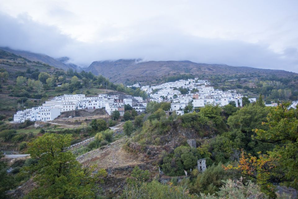 From Granada: Alpujarra Region Private Tour - Tour Details