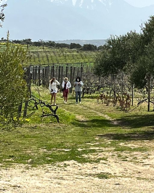 From Heraklion: Wine Tasting Experience @ Boutaris Winery