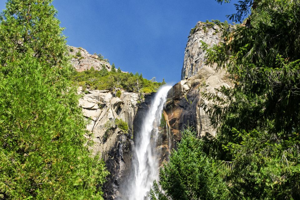 From Lake Tahoe: Yosemite National Park Day Trip With Lunch - Booking Details