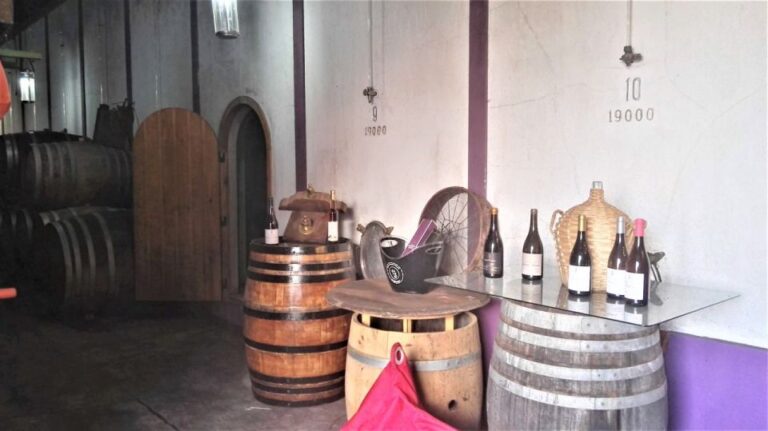 From Lisbon: Palmela Wine Tasting Tour With Snacks