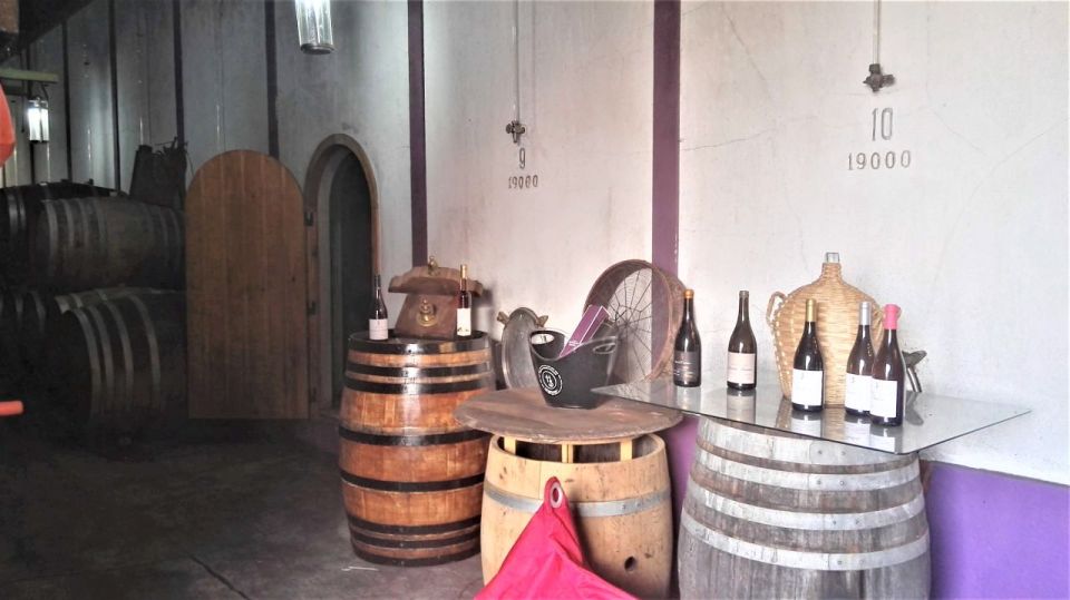 From Lisbon: Palmela Wine Tasting Tour With Snacks - Tour Details