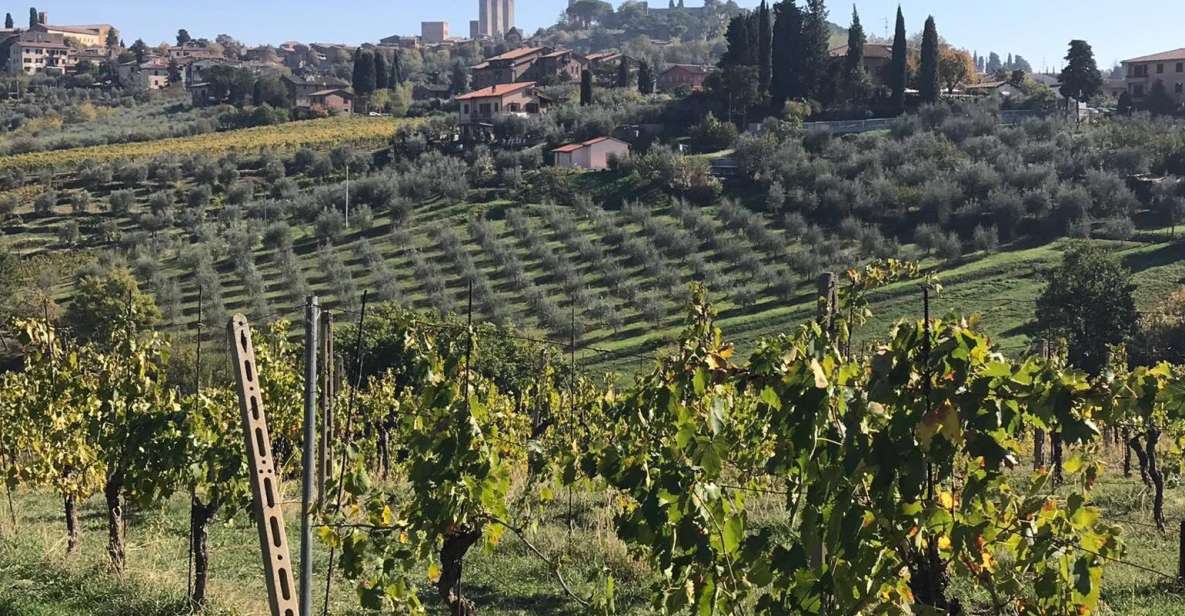 From Livorno: Shore Excursion to Chianti and San Gimignano - Tour Details and Highlights