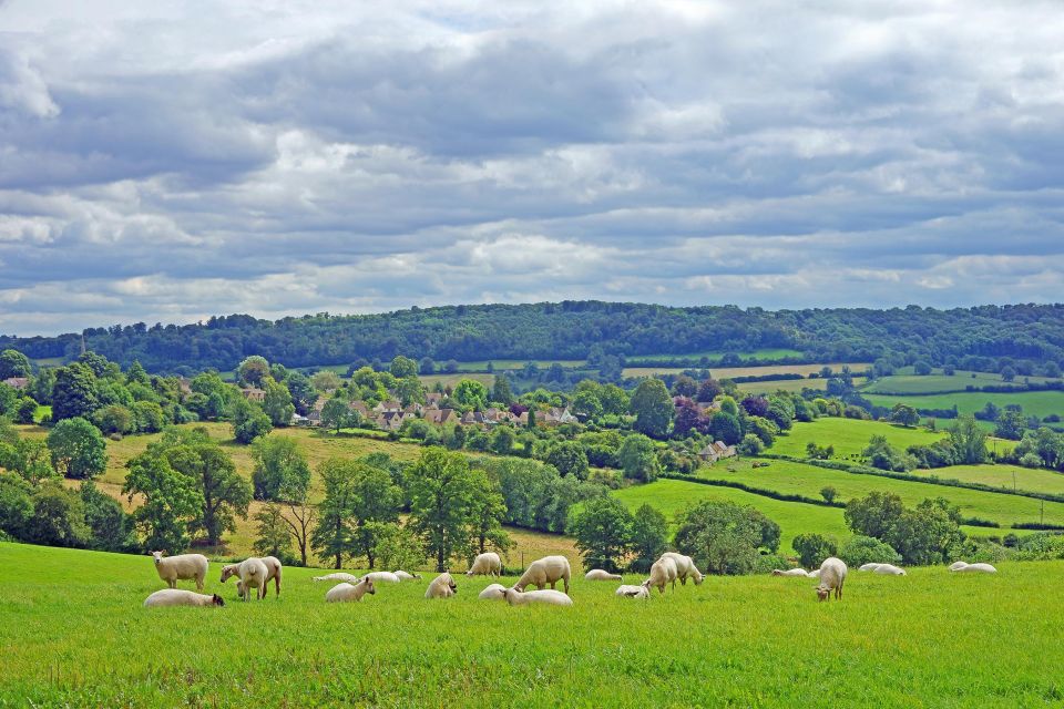 From London: Small Group Stonehenge, Bath & Cotswolds Tour - Tour Details