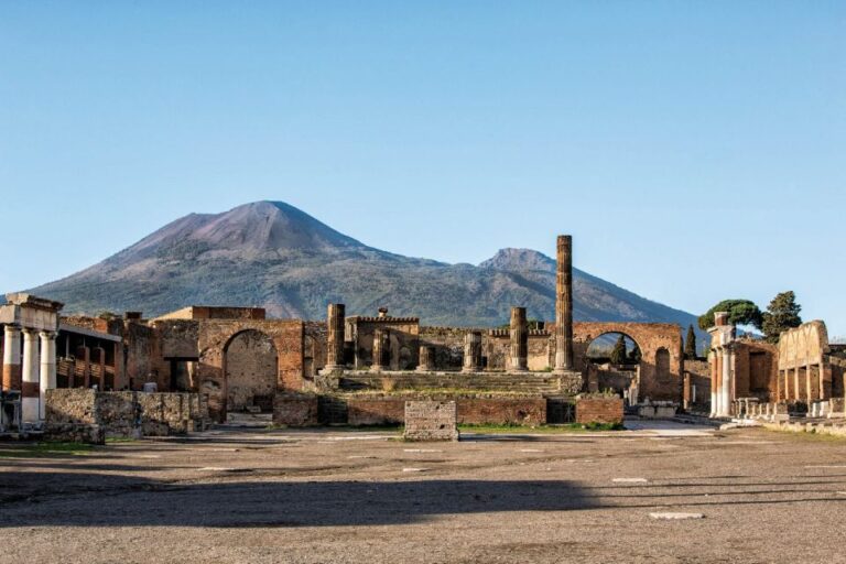 From Naples: Private Herculaneum and Pompeii Return Transfer