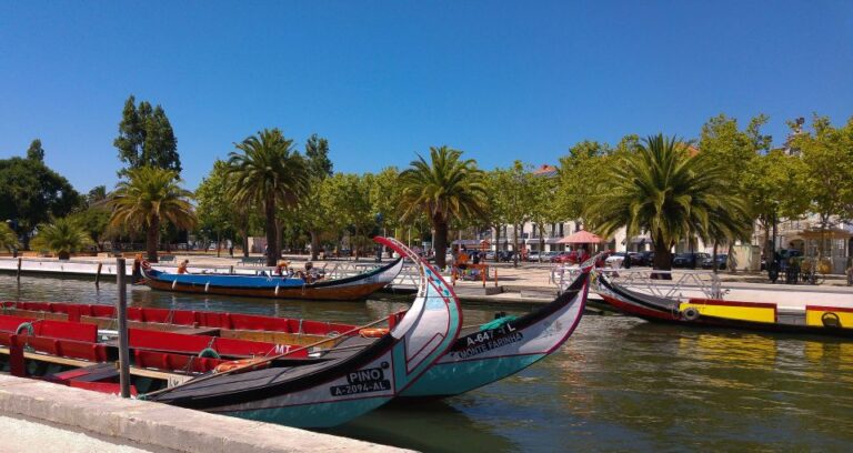 From Porto: Aveiro & Coimbra Private Day Tour & Boat Cruise