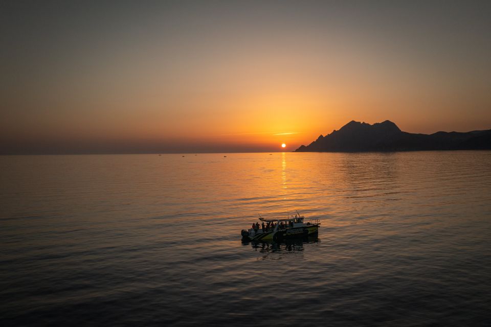 From Porto: Piana Creeks, Scandola on Family Boat - Activity Details