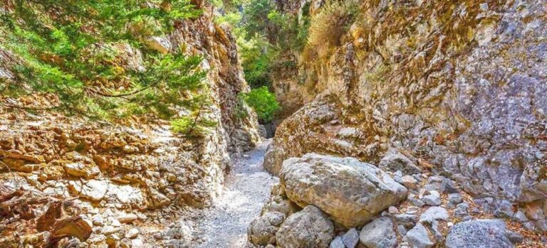 From Rethymno: Imbros Gorge & Libyan Guided Sea Tour