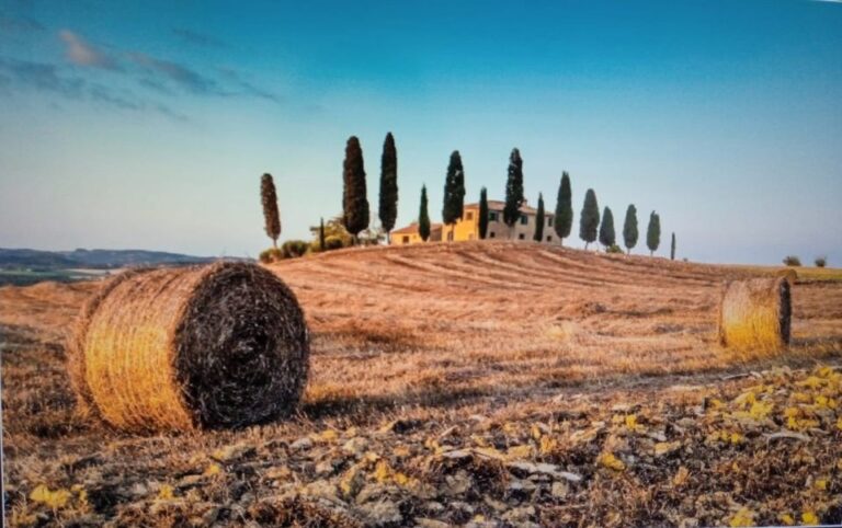 From Rome: Montepulciano and Pienza Tour With Wine Tasting