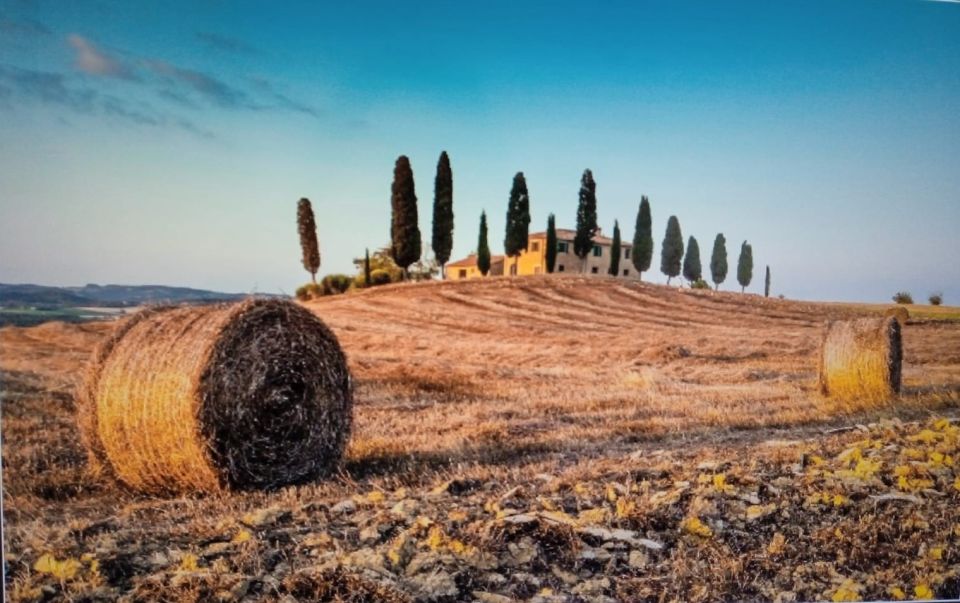 From Rome: Montepulciano and Pienza Tour With Wine Tasting - Tour Details