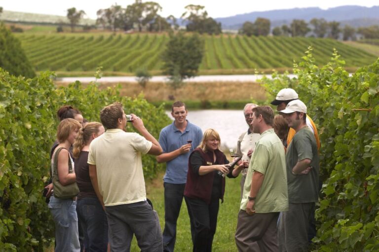 From San Sebastian/Bilbao/Vitoria: Rioja Wine Tour W/ Lunch