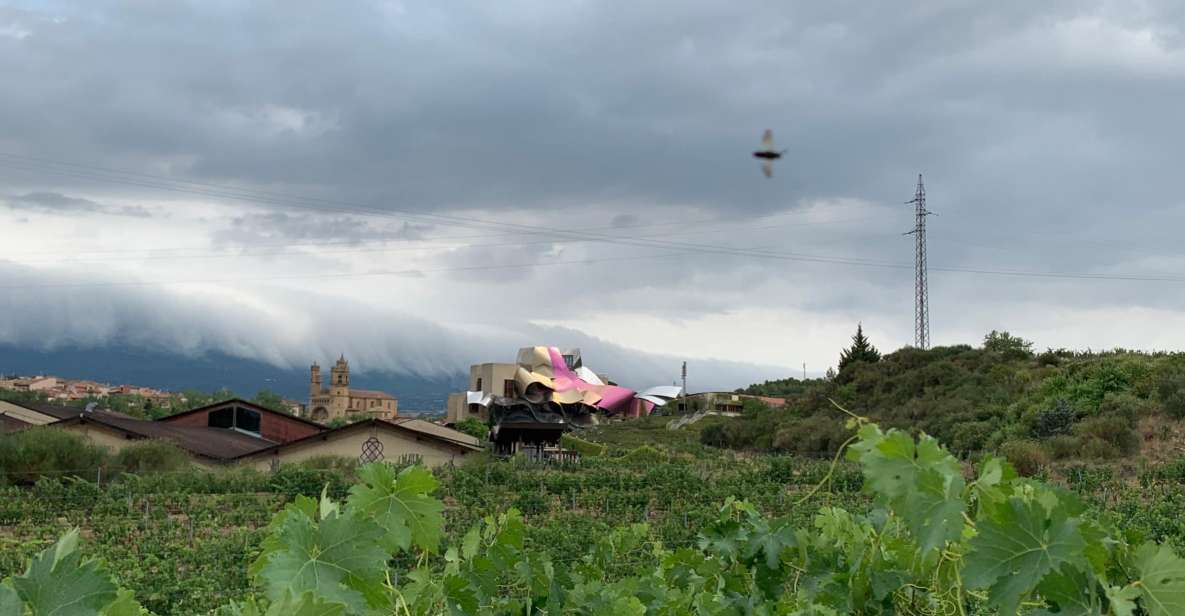 From San Sebastian: Rioja Wine Tour - Tour Details