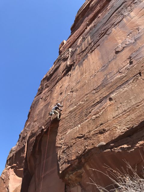 From Springdale: Half-Day Rock Climbing Experience