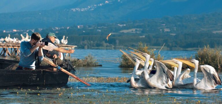 From Thessaloniki: Private Day Trip to Kerkini Lake