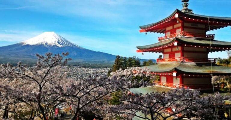 From Tokyo: Customizable Mount Fuji Full-Day Private Tour