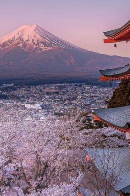 From Tokyo: Mount Fuji Full Day Private Customize Tour